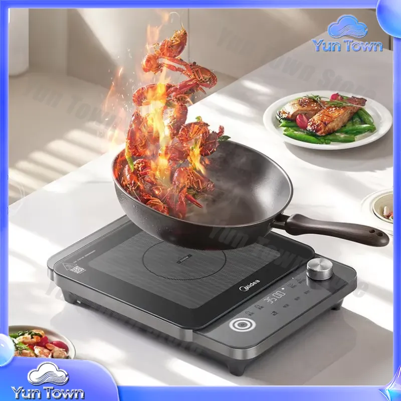 Inductiekookplaat voor thuisge - Induction Cooktop Portable recensie en prijs