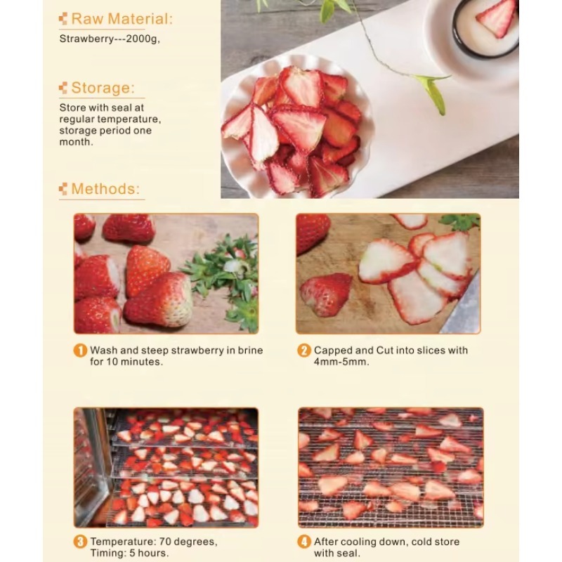 96 dienbladen roestvrij staal  - Dehydrator Tray Electric recensie en prijs